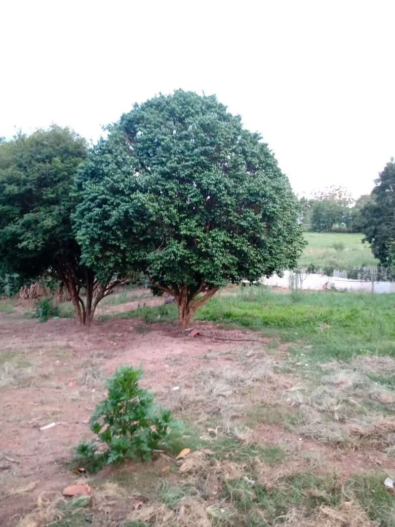 Chácara à venda de 3.000 m² em Angatuba, SP, Brasil