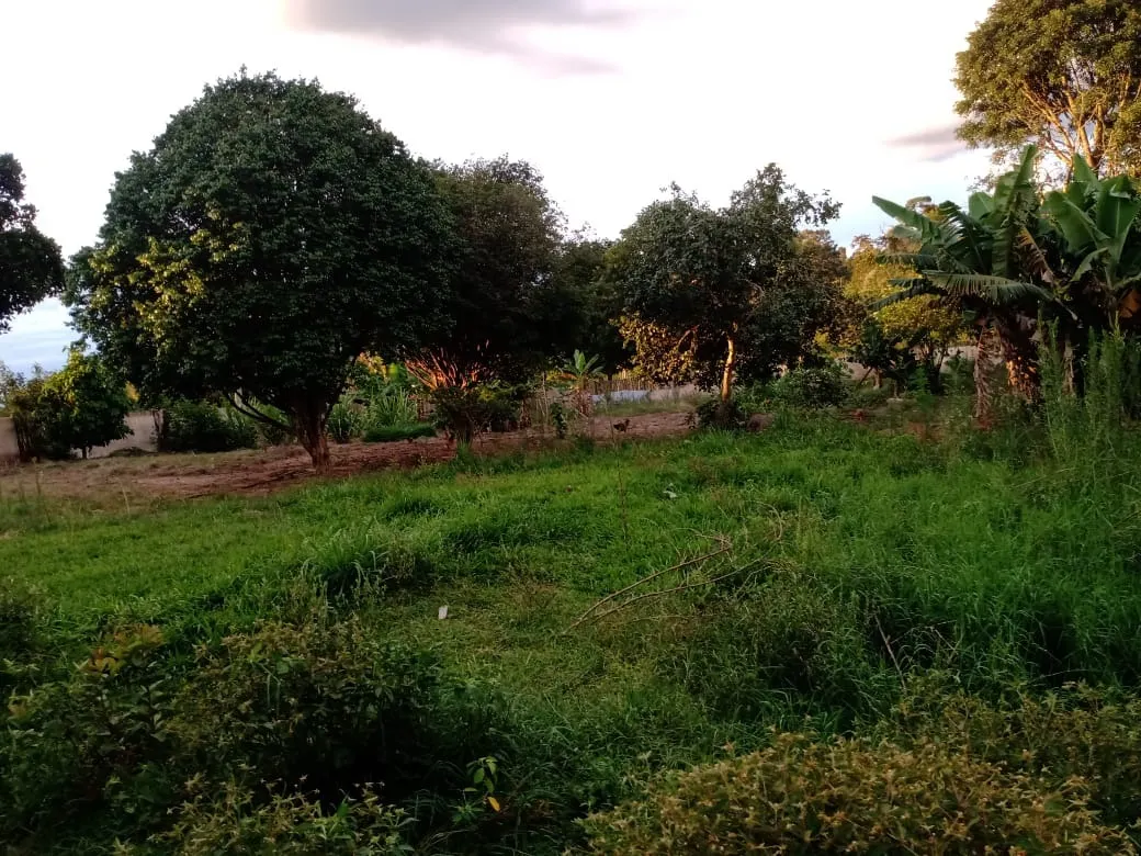 Chácara à venda de 3.000 m² em Angatuba, SP, Brasil
