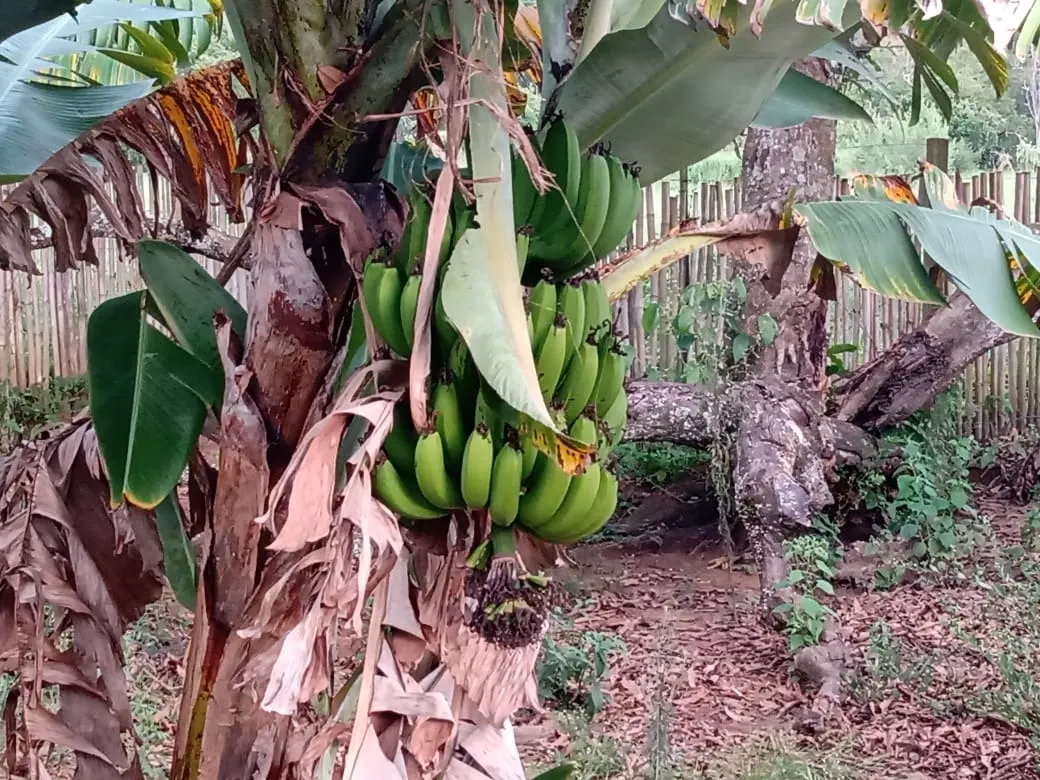 Chácara à venda de 3.000 m² em Angatuba, SP, Brasil