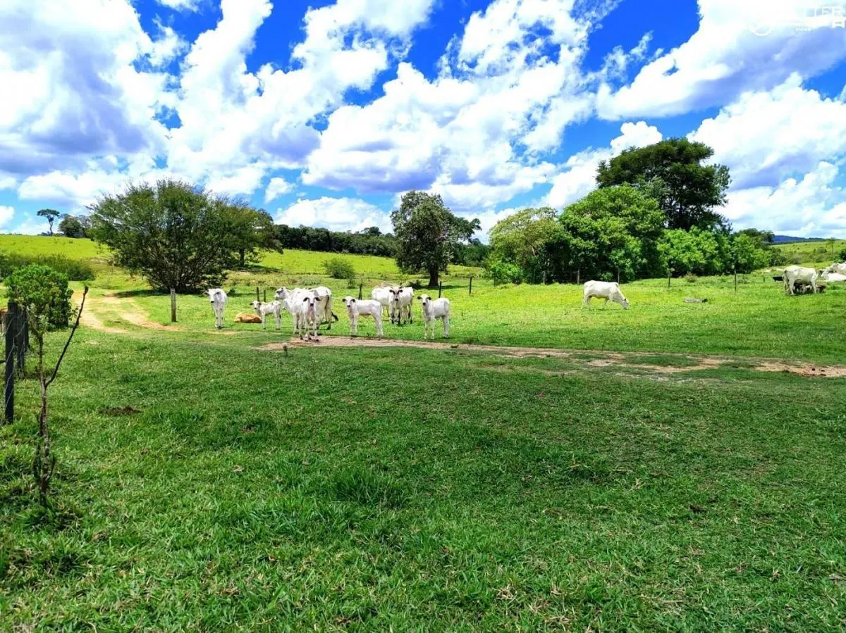 Fazenda à venda de 712 ha em Bofete, SP, Brasil