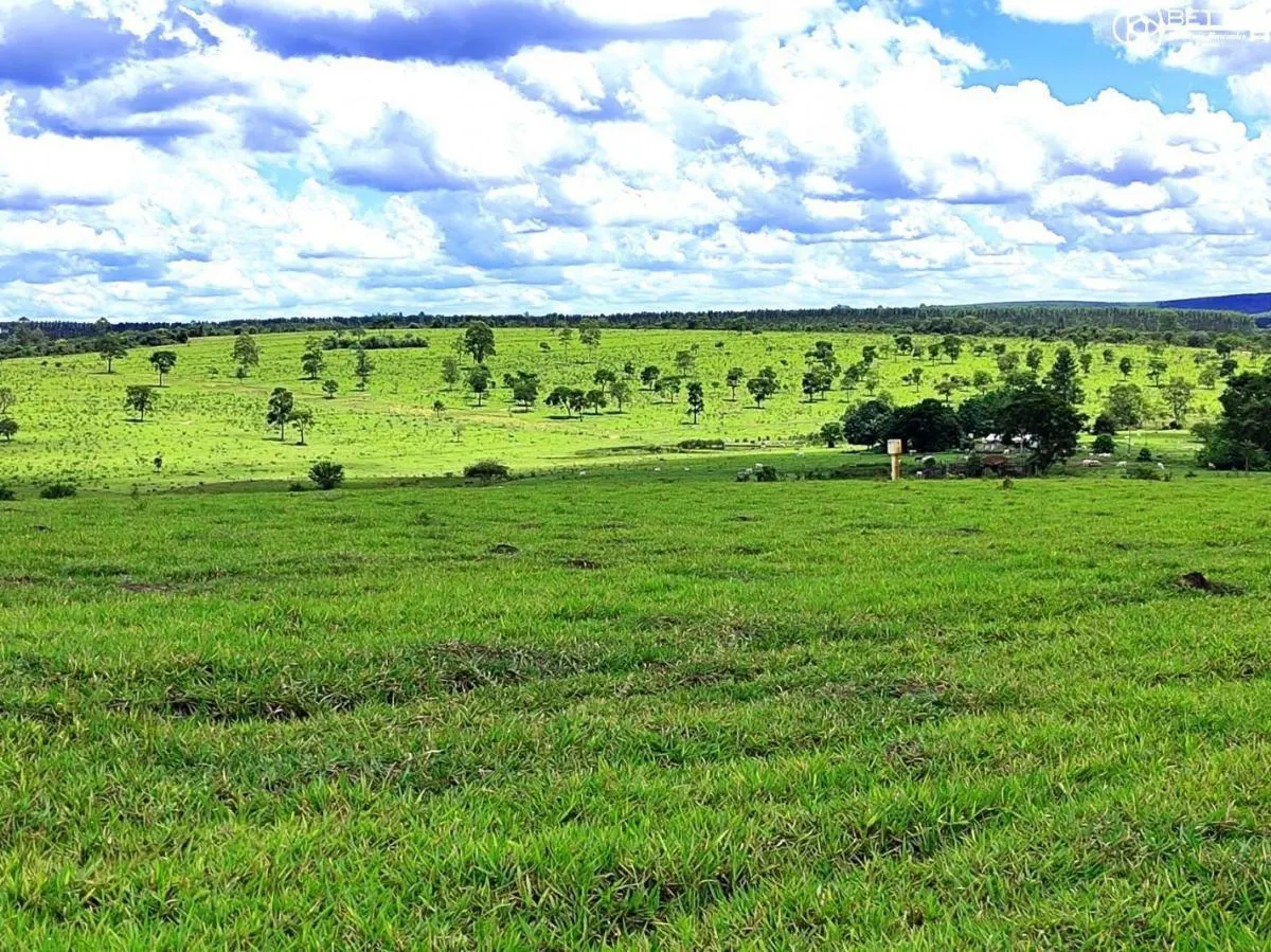 Fazenda à venda de 712 ha em Bofete, SP, Brasil