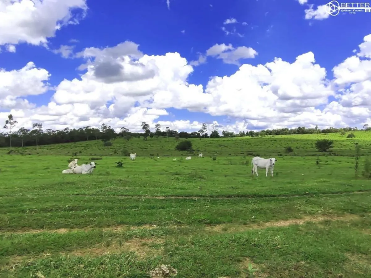 Fazenda à venda de 712 ha em Bofete, SP, Brasil
