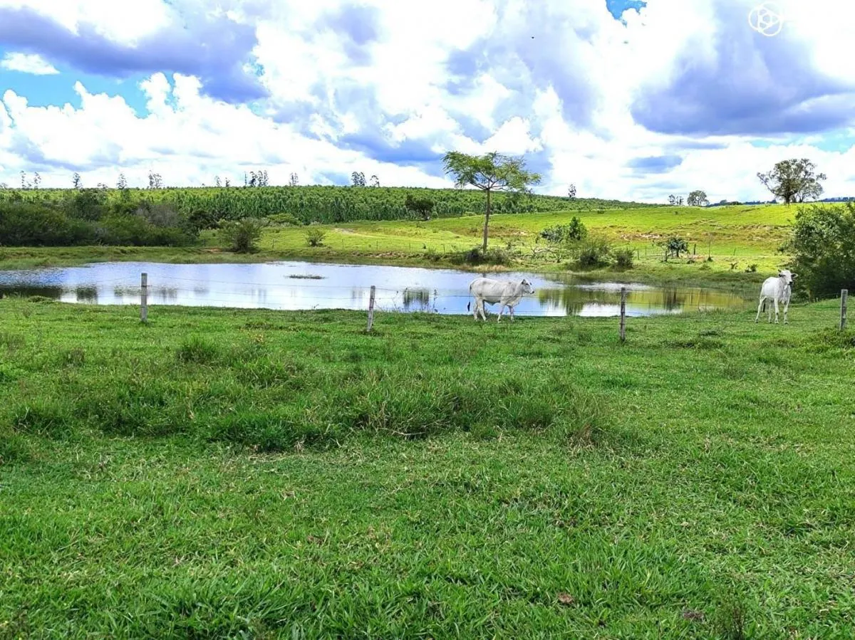 Fazenda à venda de 712 ha em Bofete, SP, Brasil
