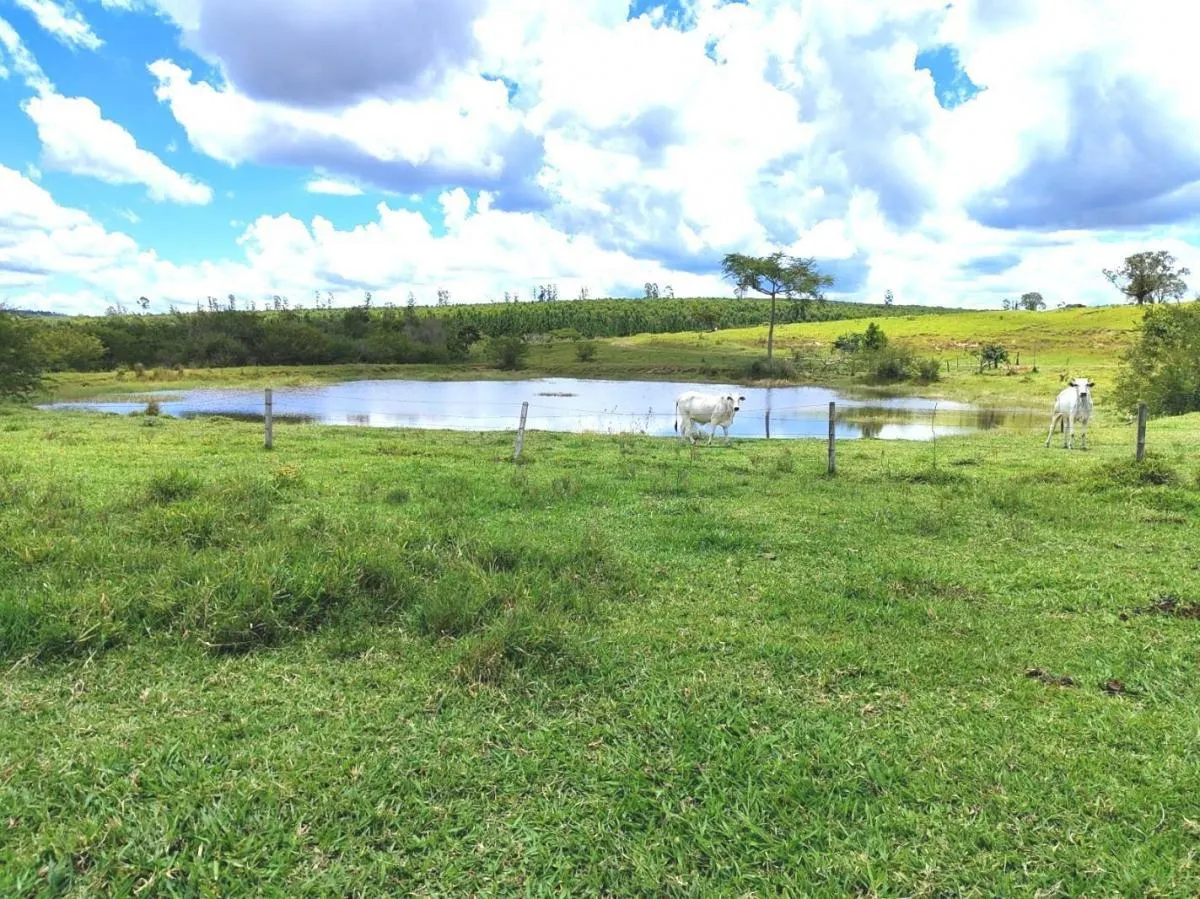 Fazenda à venda de 712 ha em Bofete, SP, Brasil