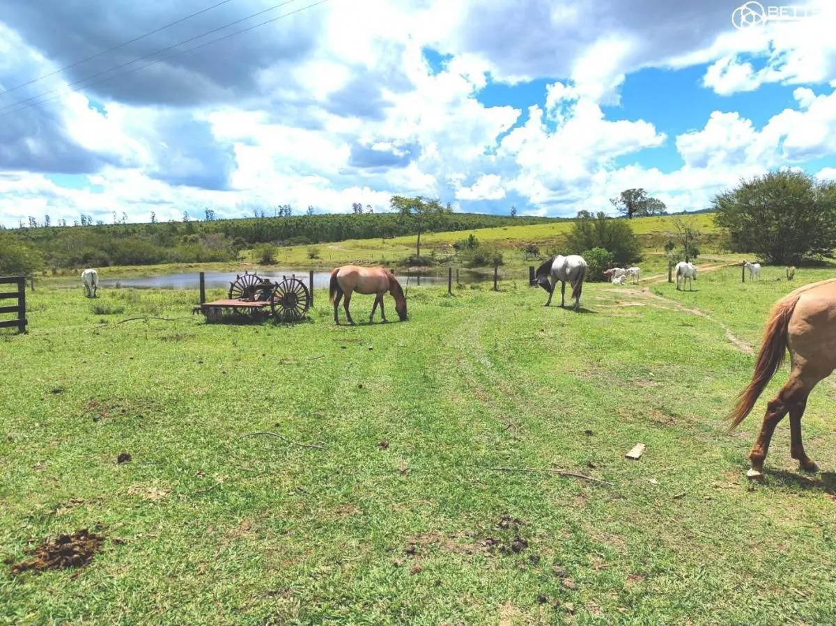 Fazenda à venda de 712 ha em Bofete, SP, Brasil