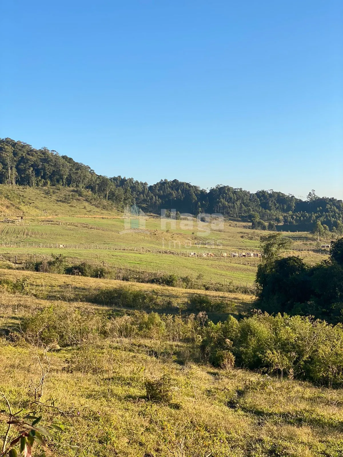 Chácara à venda de 786 ha em Timbó, SC, Brasil