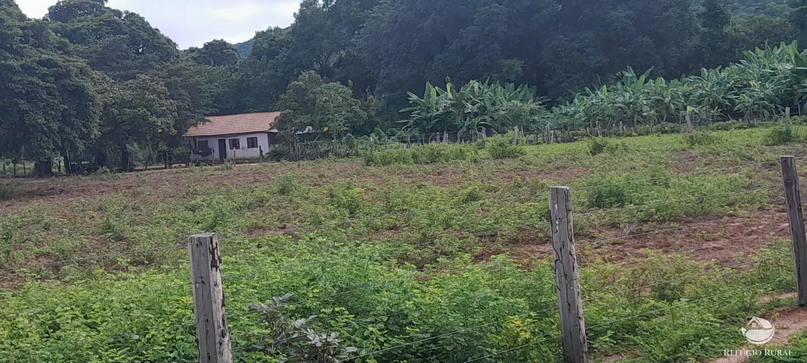 Fazenda à venda de 1.161 ha em Peixe, TO, Brasil