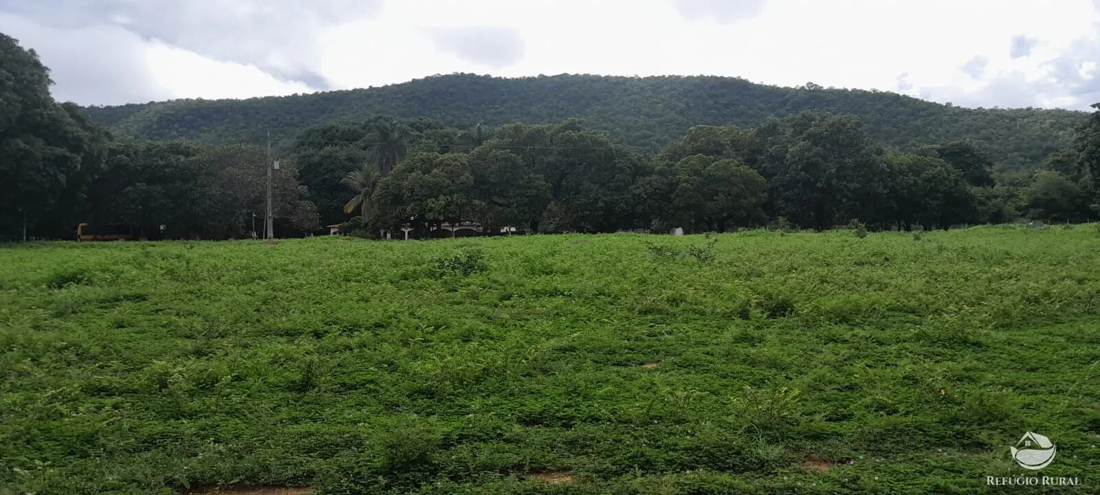 Fazenda à venda de 1.161 ha em Peixe, TO, Brasil