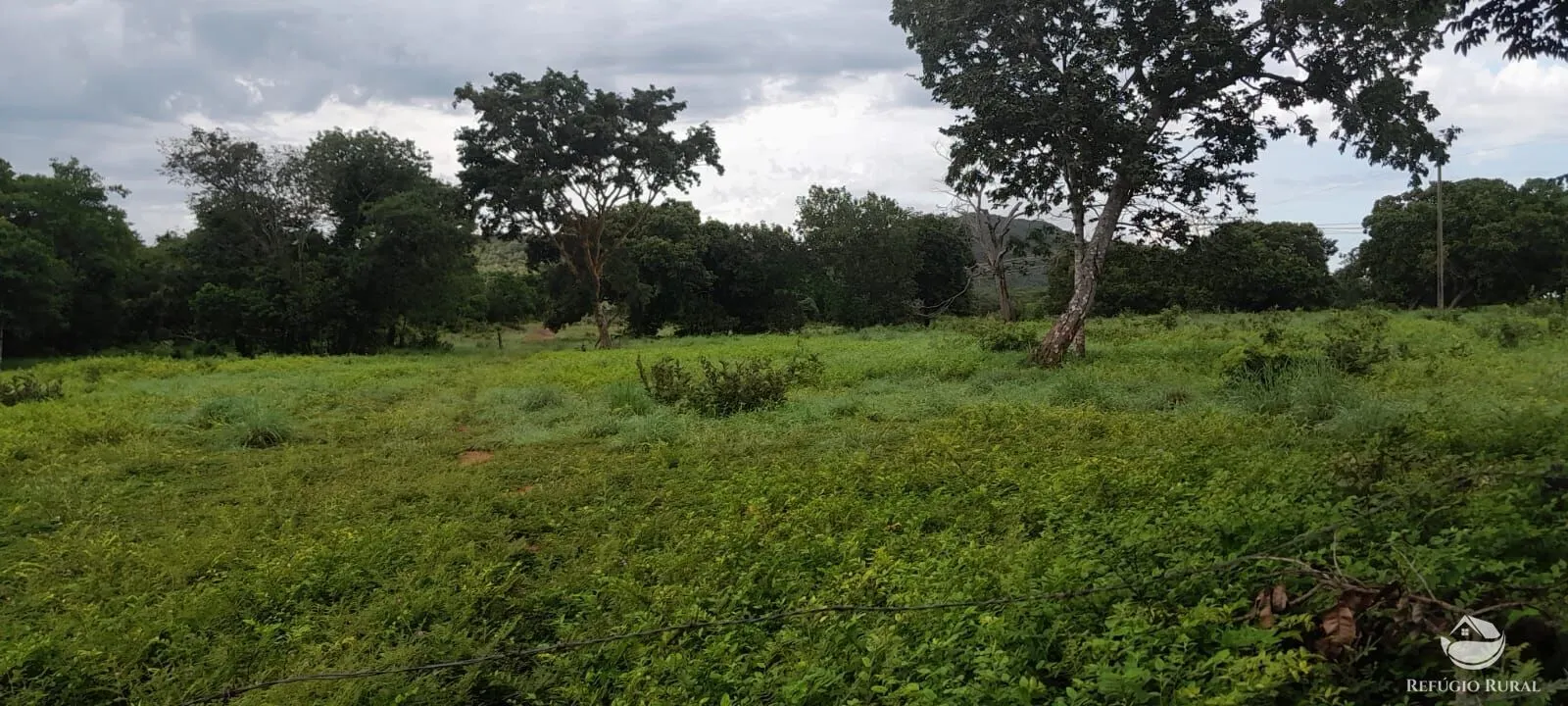 Fazenda à venda de 1.161 ha em Peixe, TO, Brasil