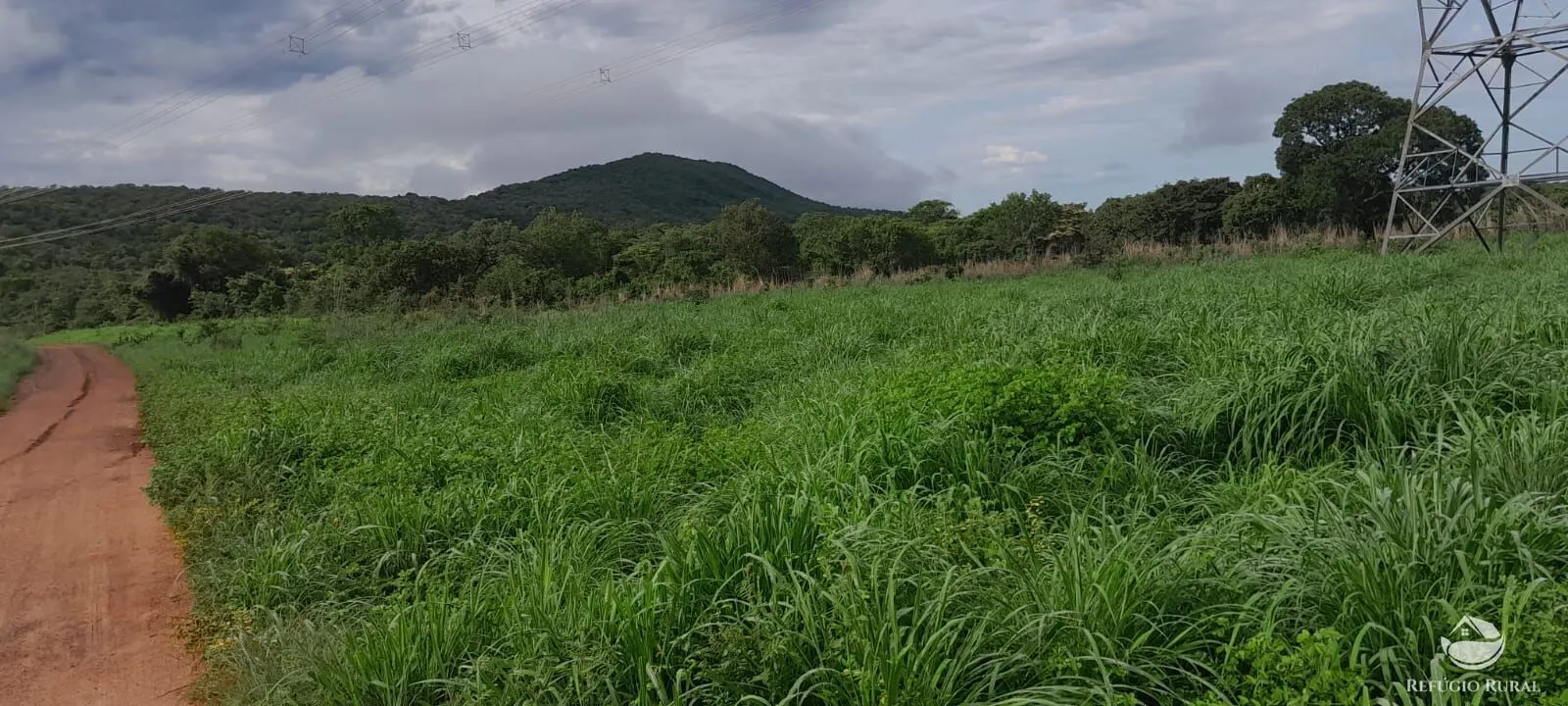 Fazenda à venda de 1.161 ha em Peixe, TO, Brasil