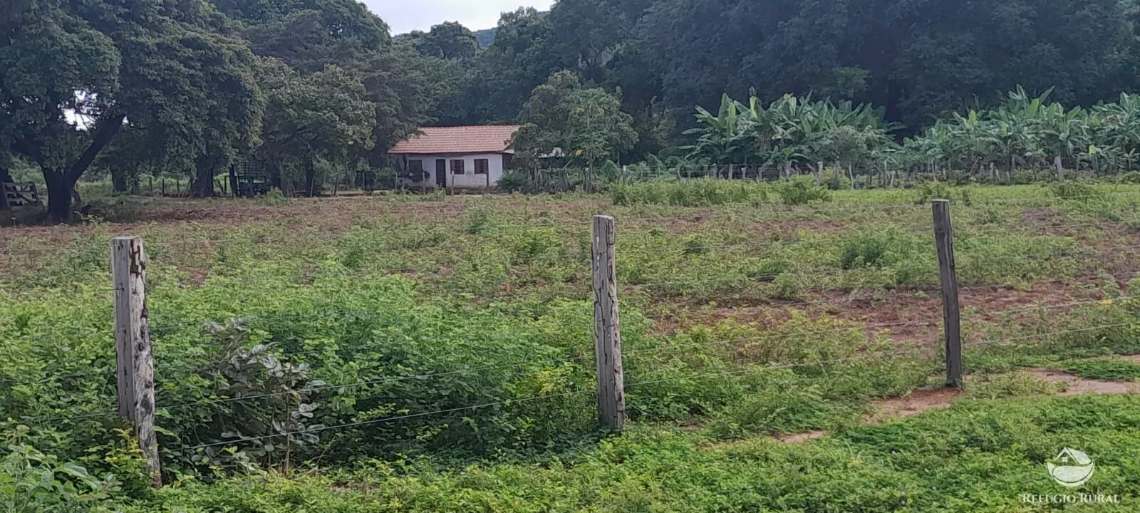 Fazenda à venda de 1.161 ha em Peixe, TO, Brasil