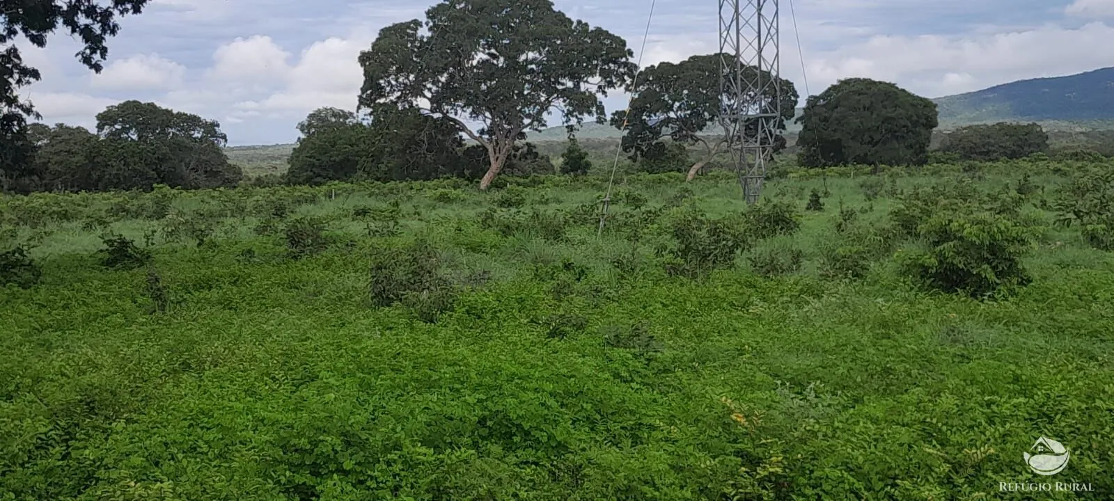 Fazenda à venda de 1.161 ha em Peixe, TO, Brasil