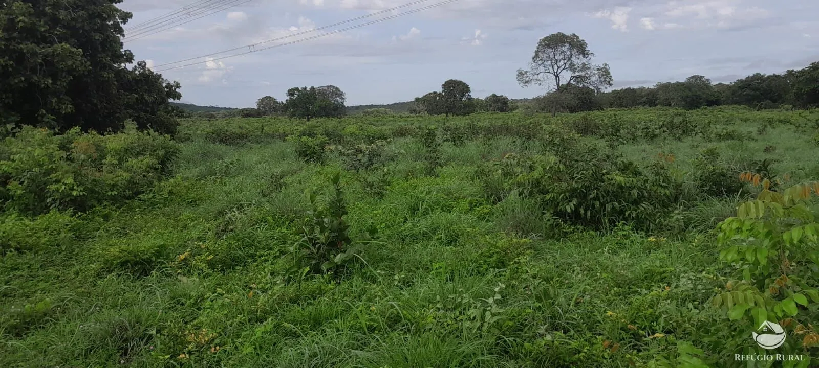 Fazenda à venda de 1.161 ha em Peixe, TO, Brasil