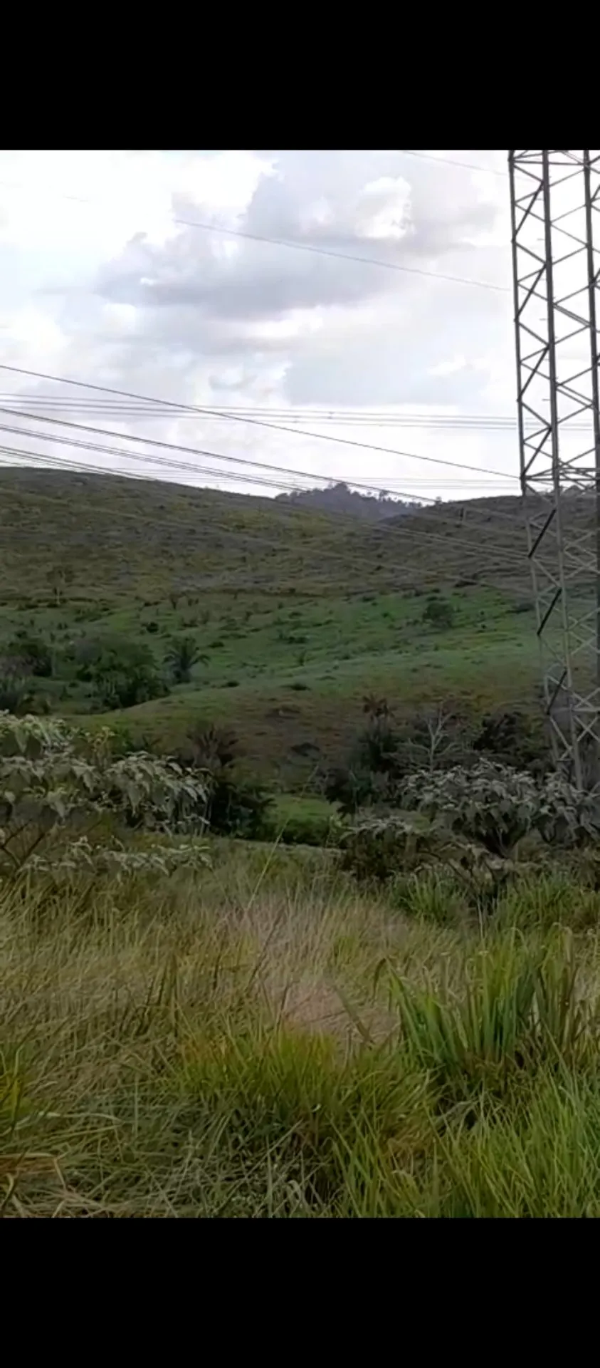 Fazenda à venda de 113 ha em Pacajá, PA, Brasil