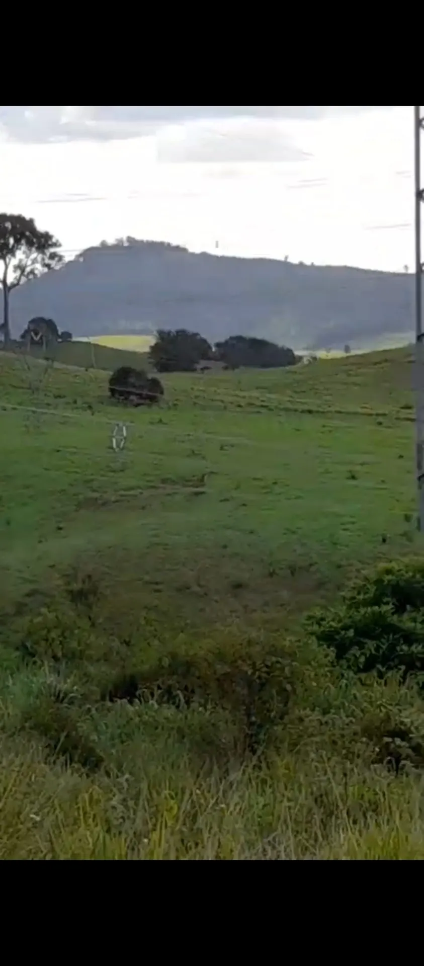 Fazenda à venda de 113 ha em Pacajá, PA, Brasil