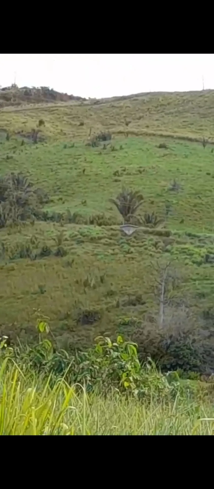 Fazenda à venda de 113 ha em Pacajá, PA, Brasil