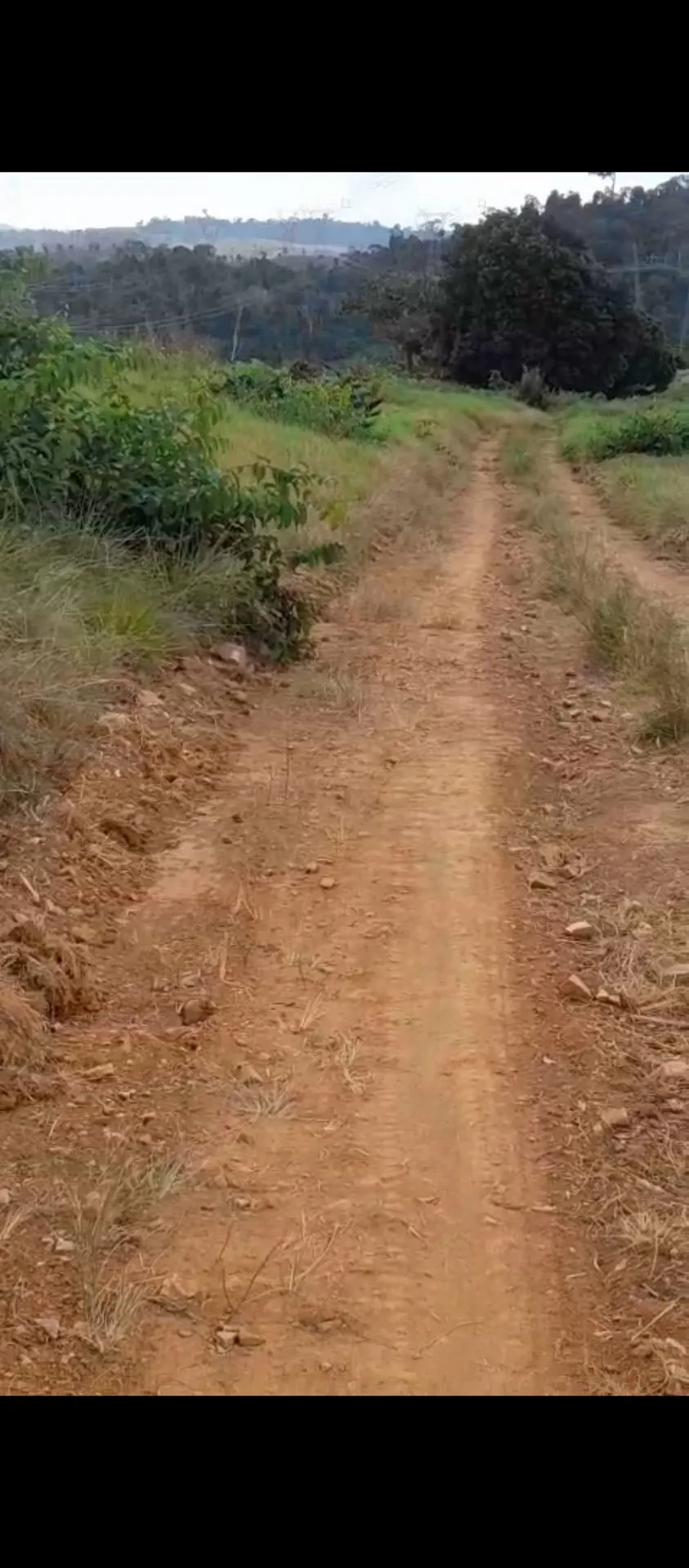 Fazenda à venda de 113 ha em Pacajá, PA, Brasil
