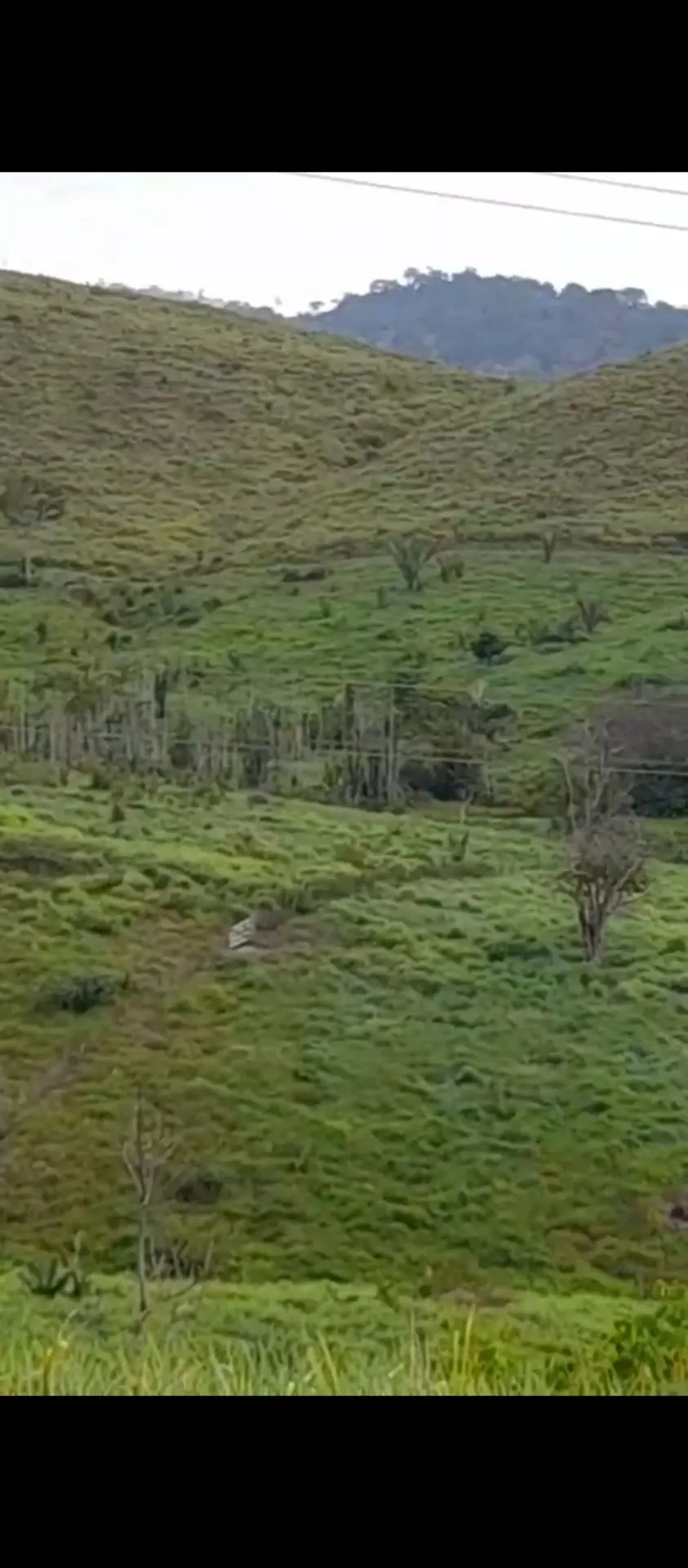 Fazenda à venda de 113 ha em Pacajá, PA, Brasil