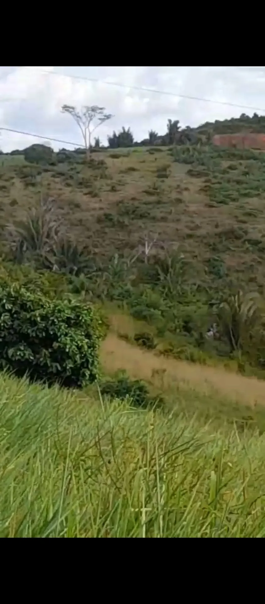 Fazenda à venda de 113 ha em Pacajá, PA, Brasil