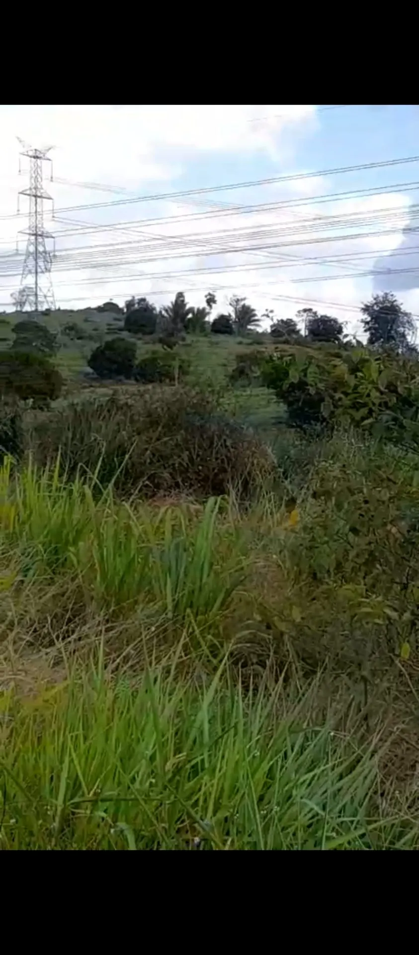 Fazenda à venda de 113 ha em Pacajá, PA, Brasil