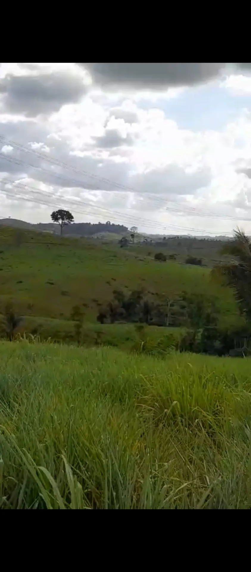 Fazenda à venda de 113 ha em Pacajá, PA, Brasil