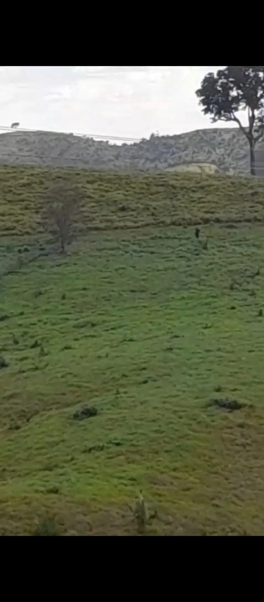 Fazenda à venda de 113 ha em Pacajá, PA, Brasil