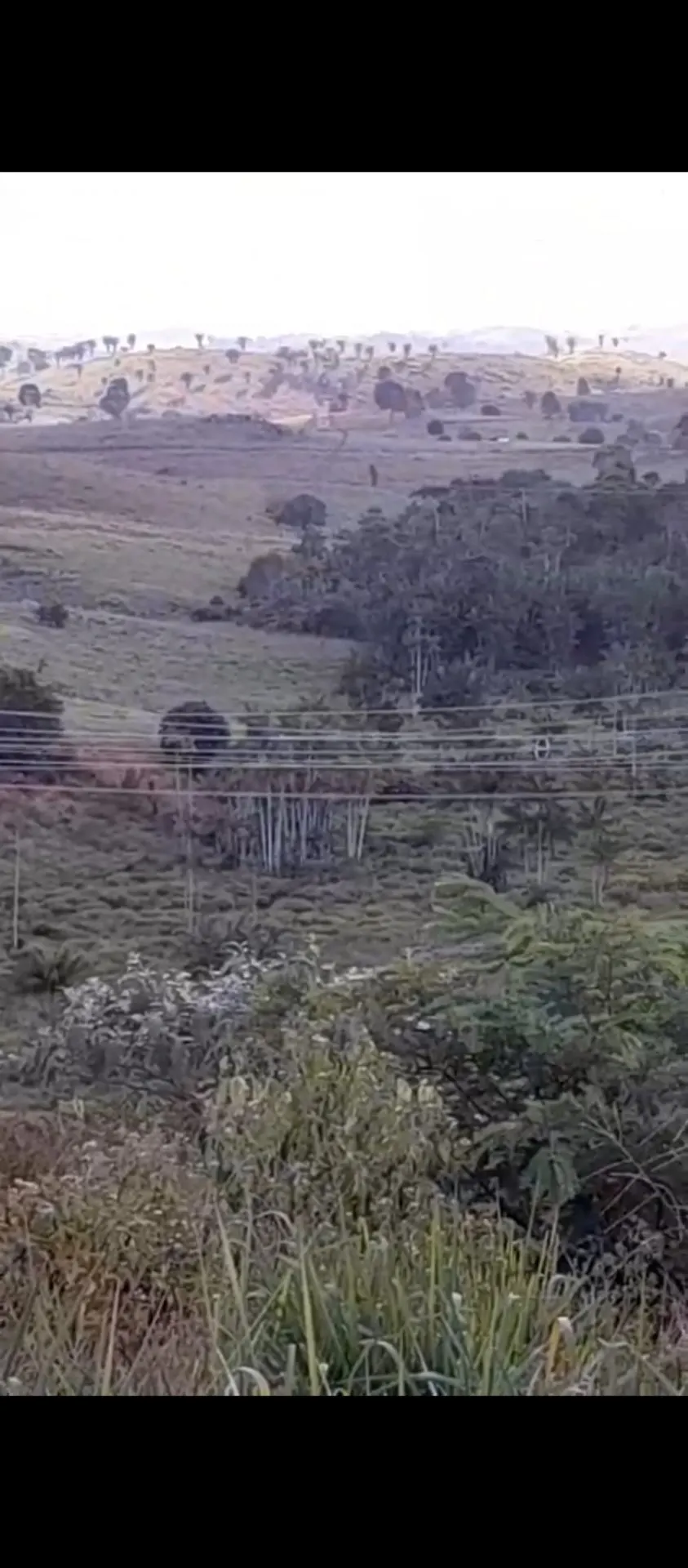Fazenda à venda de 113 ha em Pacajá, PA, Brasil