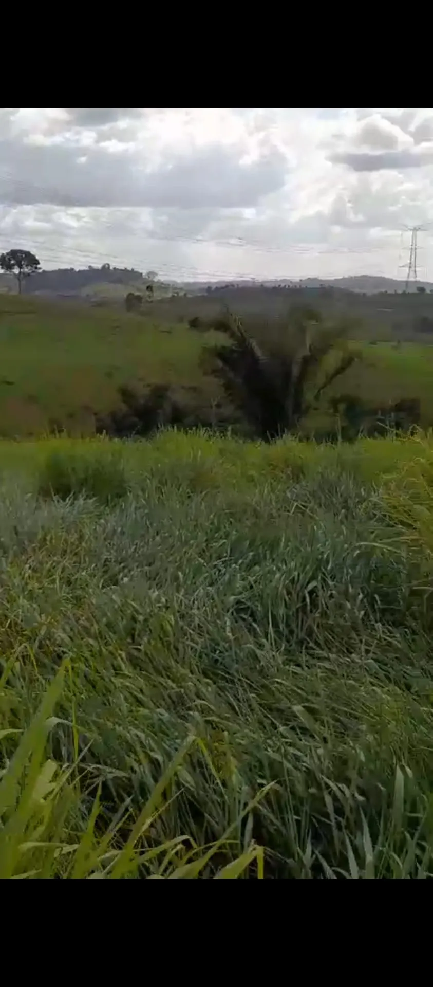 Fazenda à venda de 113 ha em Pacajá, PA, Brasil