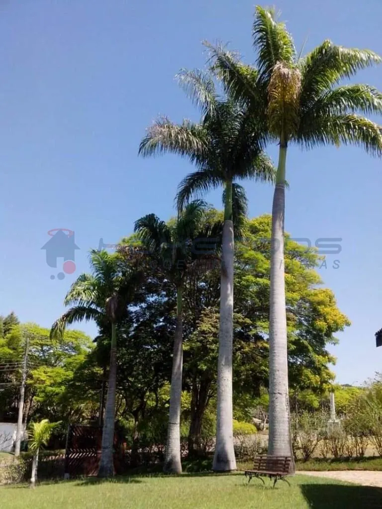 Fazenda à venda de 3.000 ha em Itu, SP, Brasil