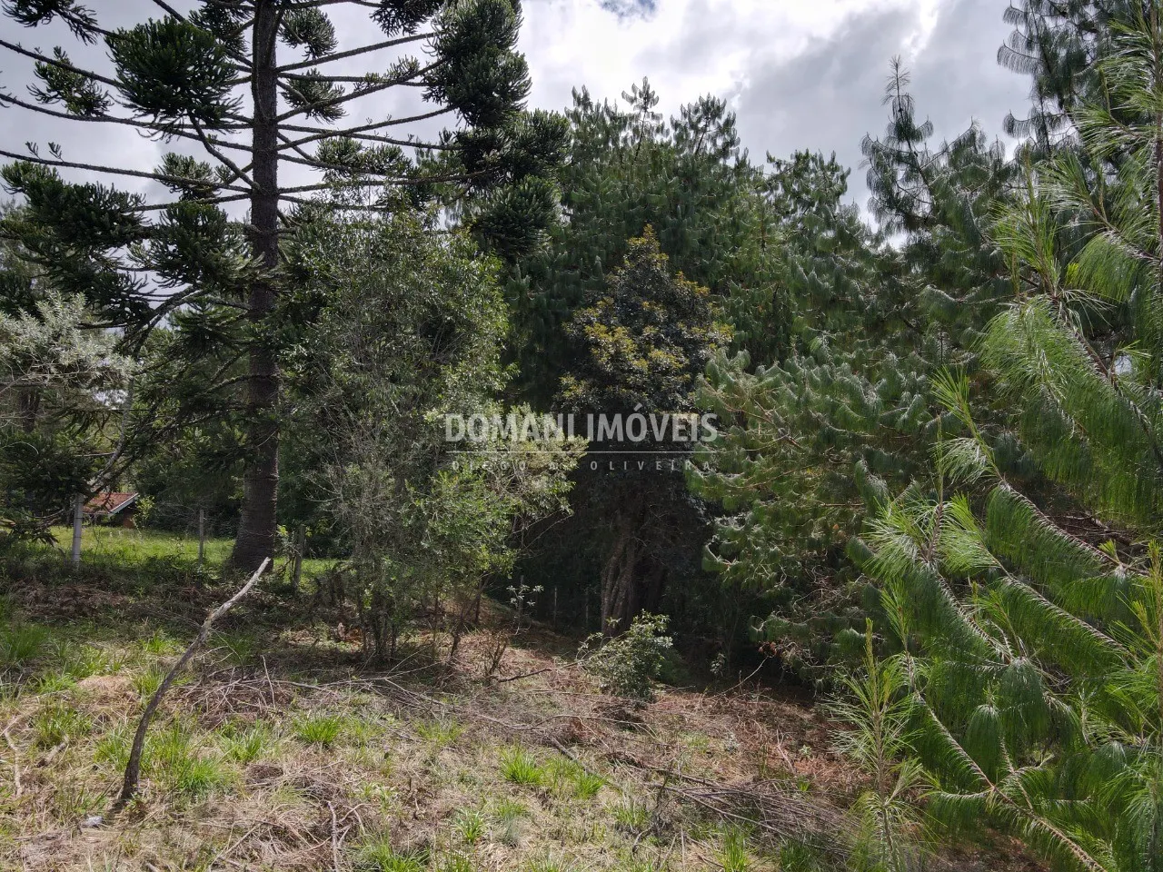 Terreno à venda de 1.070 m² em Campos do Jordão, SP, Brasil