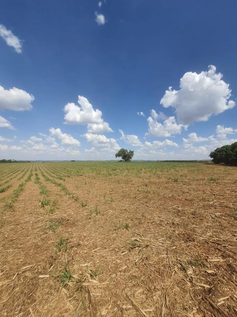 Fazenda à venda de 90 ha em Porto Ferreira, SP, Brasil