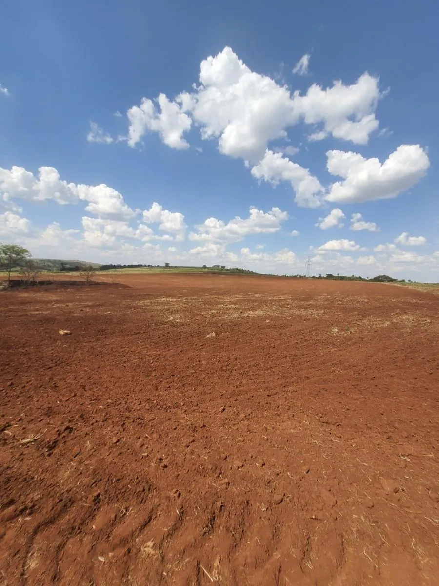 Fazenda à venda de 90 ha em Porto Ferreira, SP, Brasil