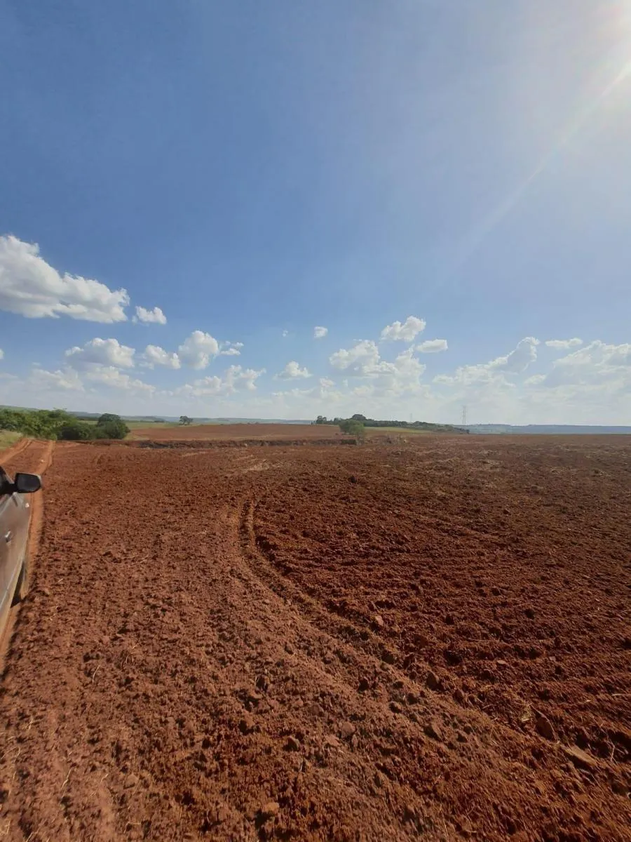 Fazenda à venda de 90 ha em Porto Ferreira, SP, Brasil