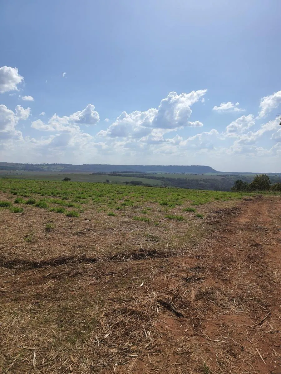 Fazenda à venda de 90 ha em Porto Ferreira, SP, Brasil