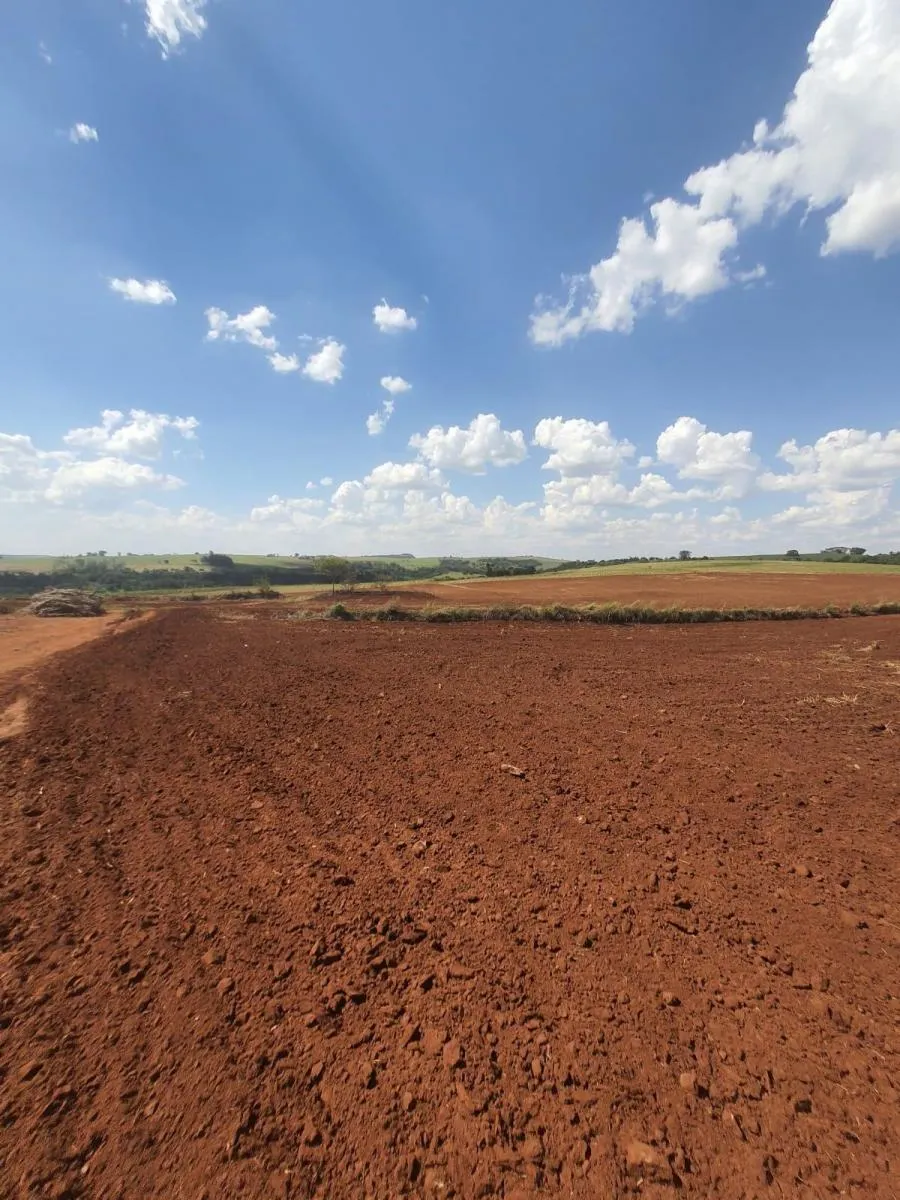 Fazenda à venda de 90 ha em Porto Ferreira, SP, Brasil
