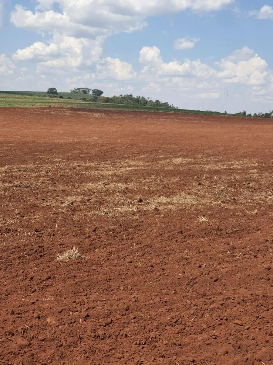 Fazenda à venda de 90 ha em Porto Ferreira, SP, Brasil