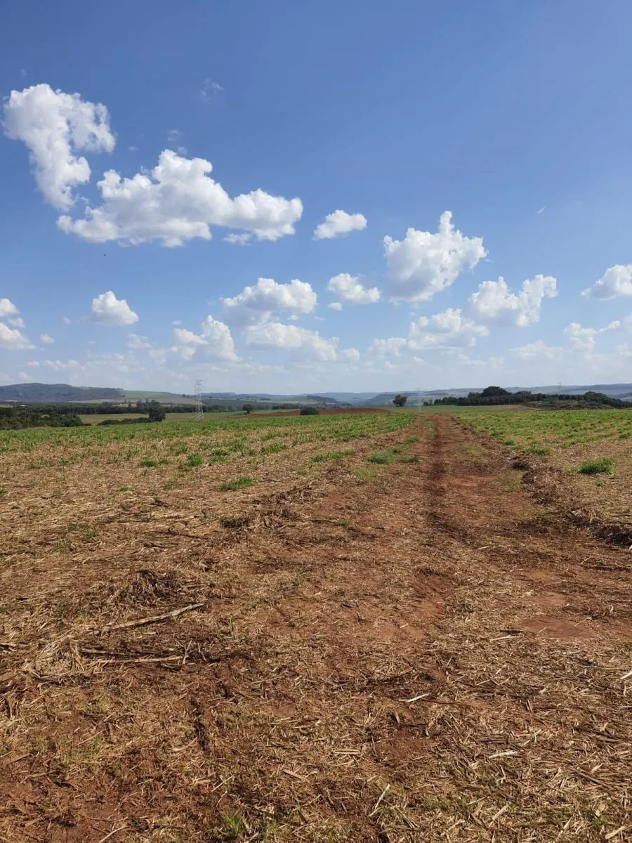 Fazenda à venda de 90 ha em Porto Ferreira, SP, Brasil