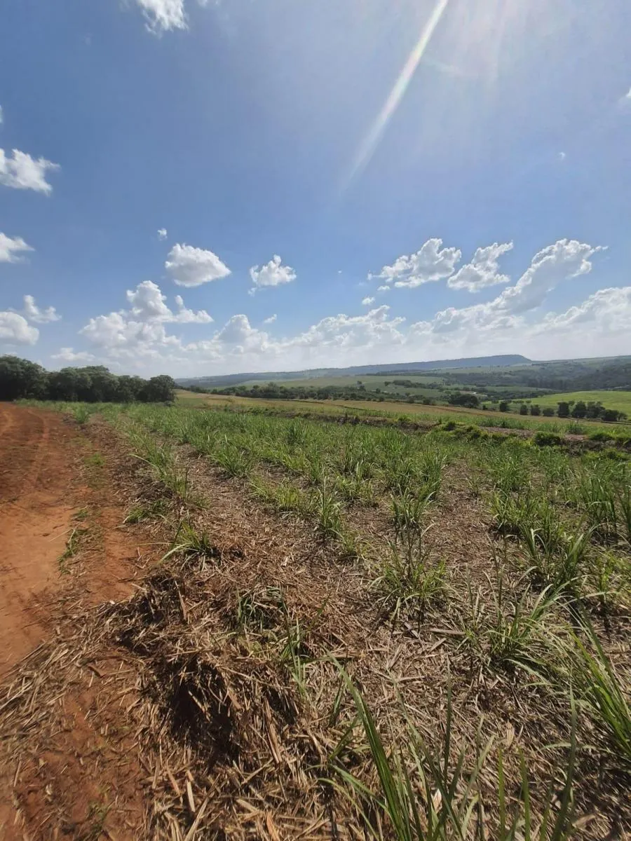 Fazenda à venda de 90 ha em Porto Ferreira, SP, Brasil