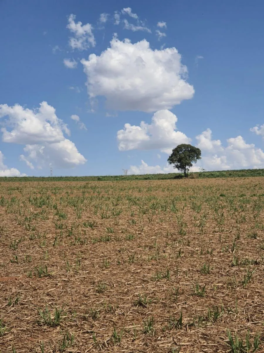 Fazenda à venda de 90 ha em Porto Ferreira, SP, Brasil