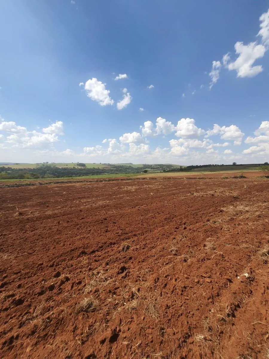 Fazenda à venda de 90 ha em Porto Ferreira, SP, Brasil