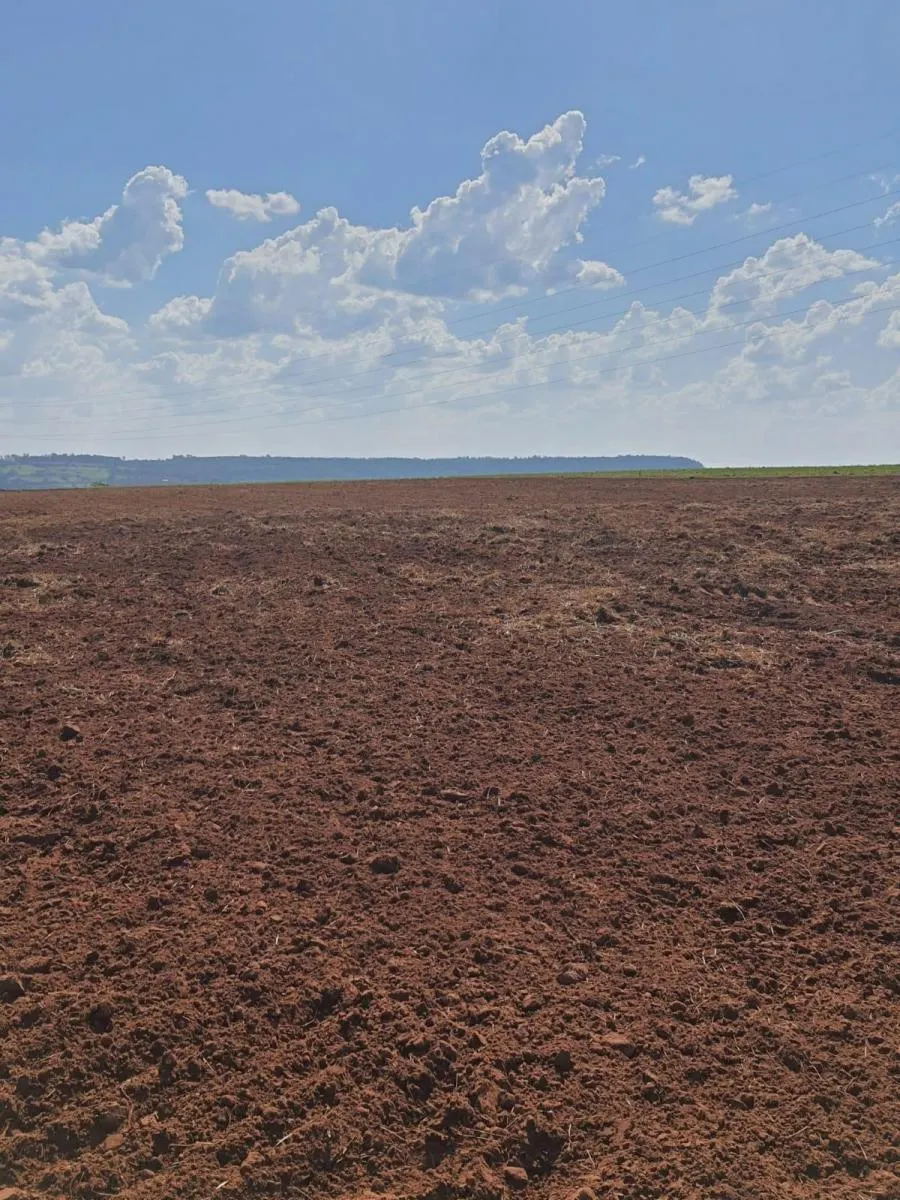 Fazenda à venda de 90 ha em Porto Ferreira, SP, Brasil