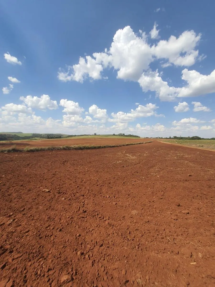 Fazenda à venda de 90 ha em Porto Ferreira, SP, Brasil