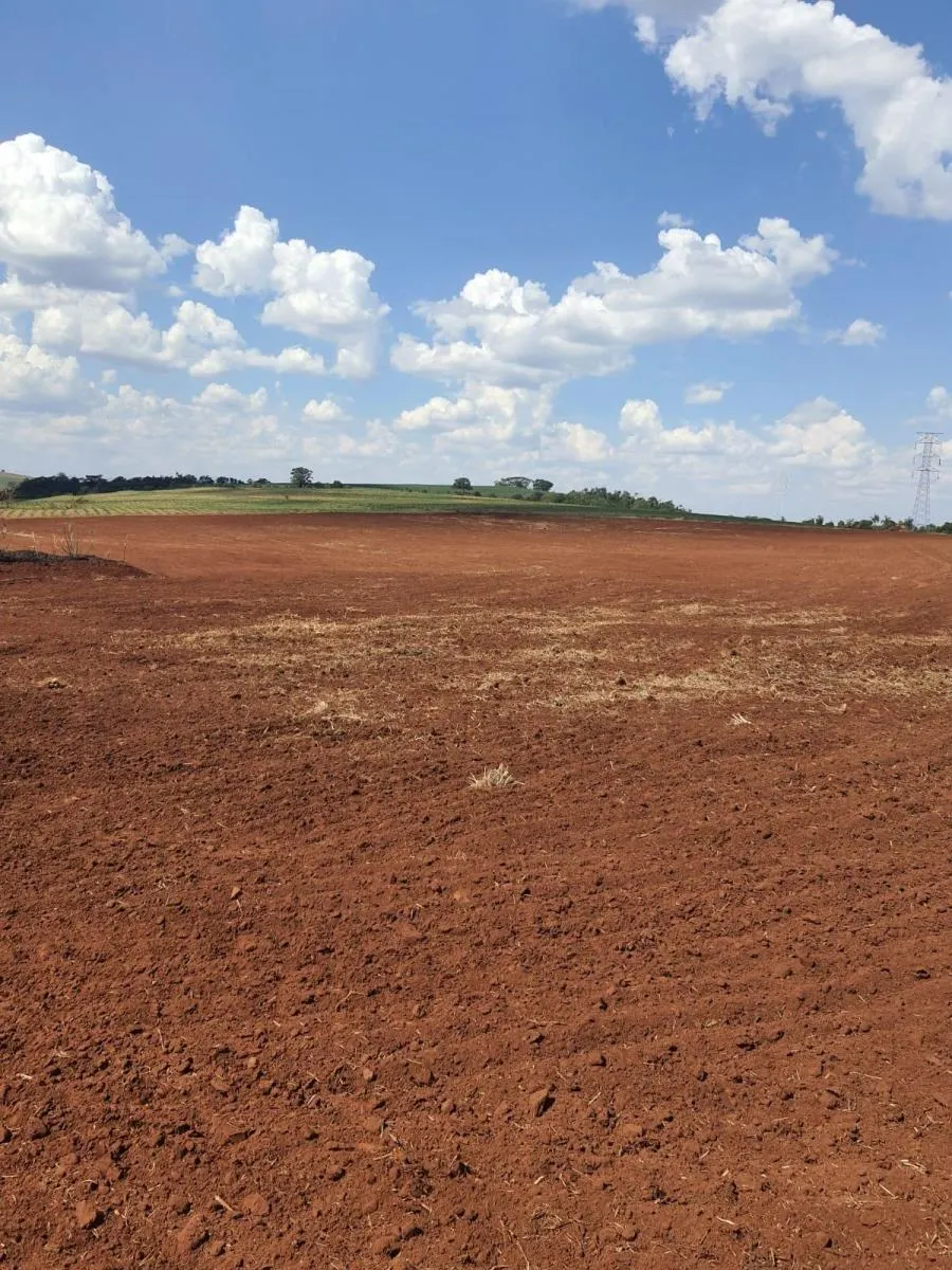 Fazenda à venda de 90 ha em Porto Ferreira, SP, Brasil