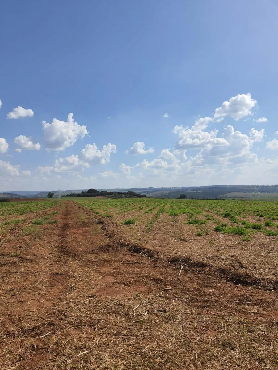 Fazenda à venda de 90 ha em Porto Ferreira, SP, Brasil