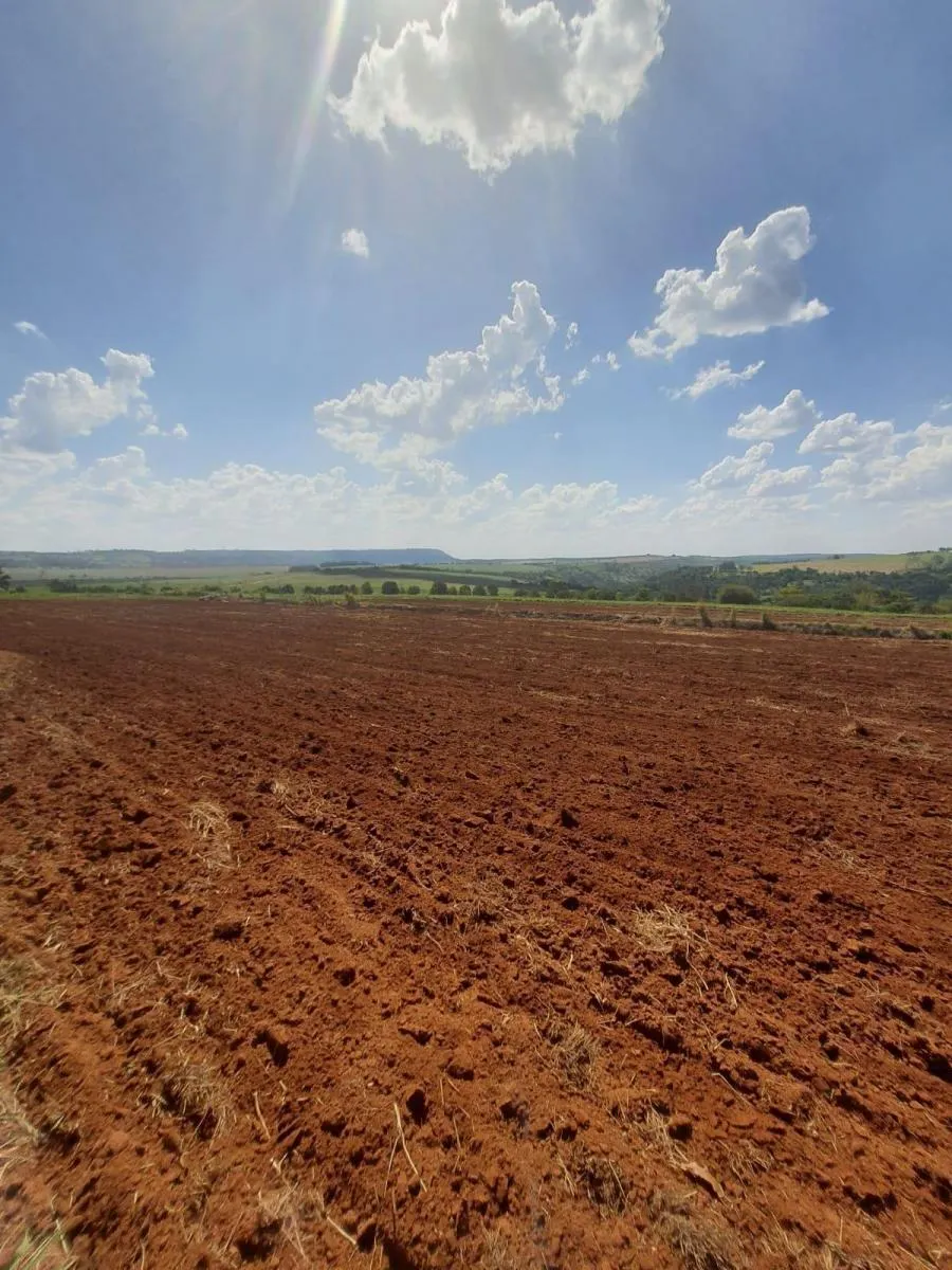Fazenda à venda de 90 ha em Porto Ferreira, SP, Brasil