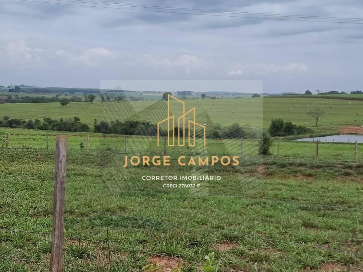 Fazenda à venda de 300 ha em Paraíso, SP, Brasil