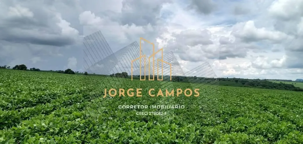Fazenda à venda de 300 ha em Paraíso, SP, Brasil