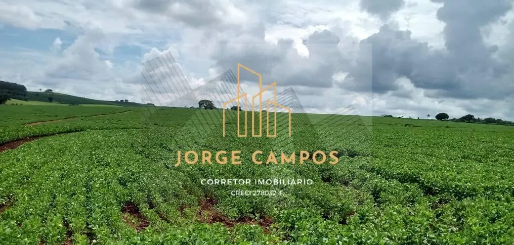 Fazenda à venda de 300 ha em Paraíso, SP, Brasil