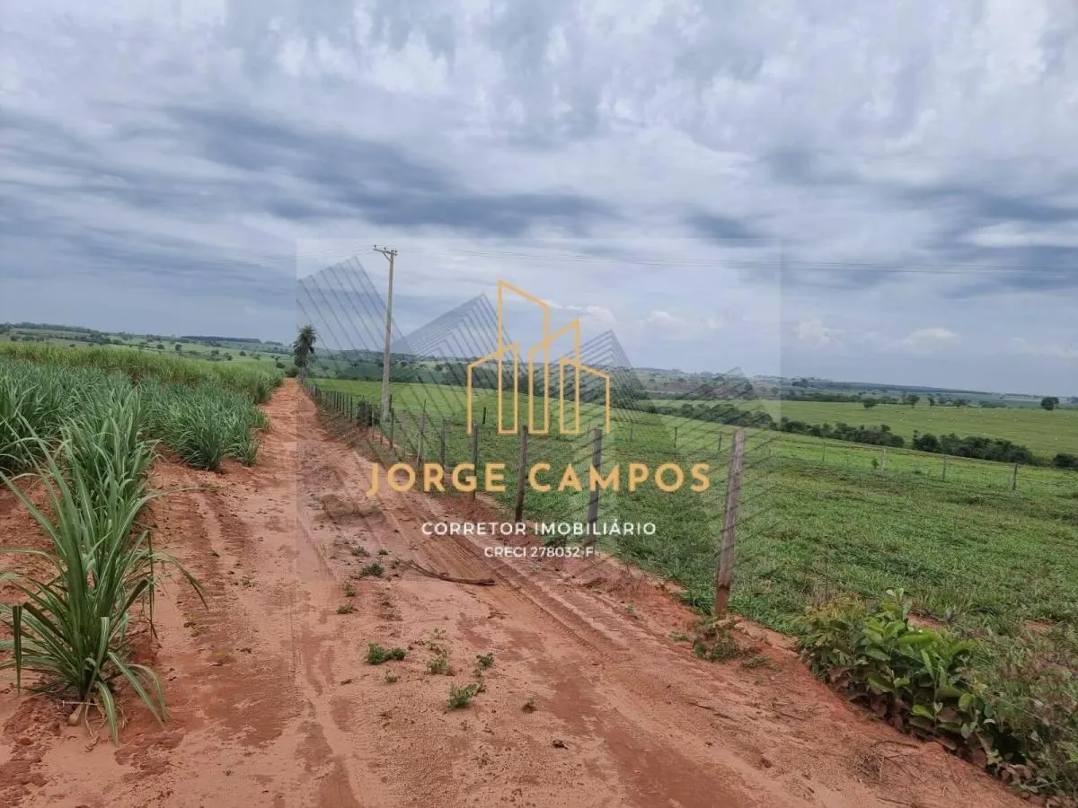 Fazenda à venda de 300 ha em Paraíso, SP, Brasil