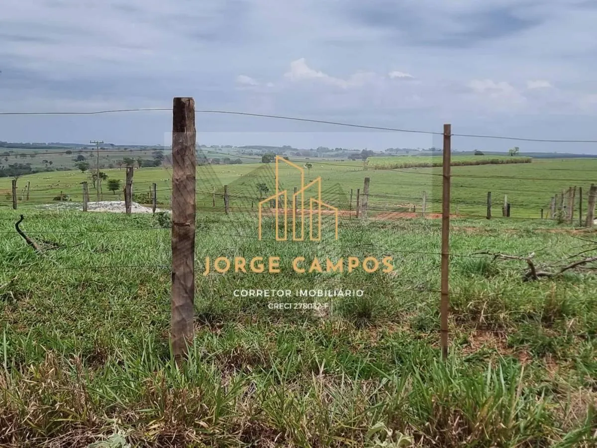 Fazenda à venda de 300 ha em Paraíso, SP, Brasil